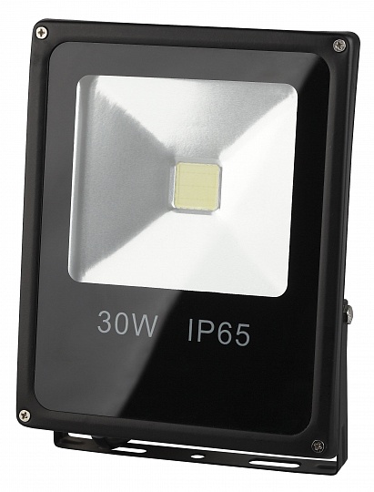 Прожектор LED ЭРА 30Вт IP65 6500К М белый свет